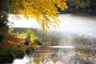 Александр Подгорчук