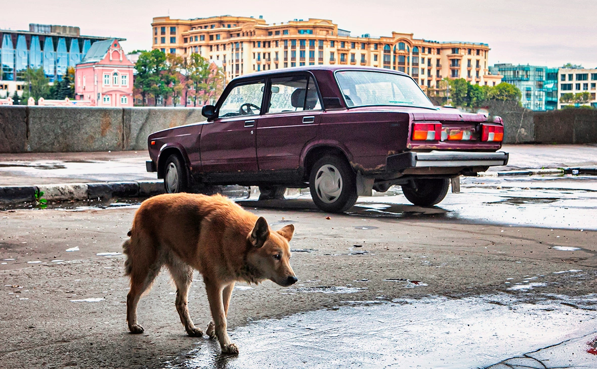 oliverdelahaye / Shutterstock