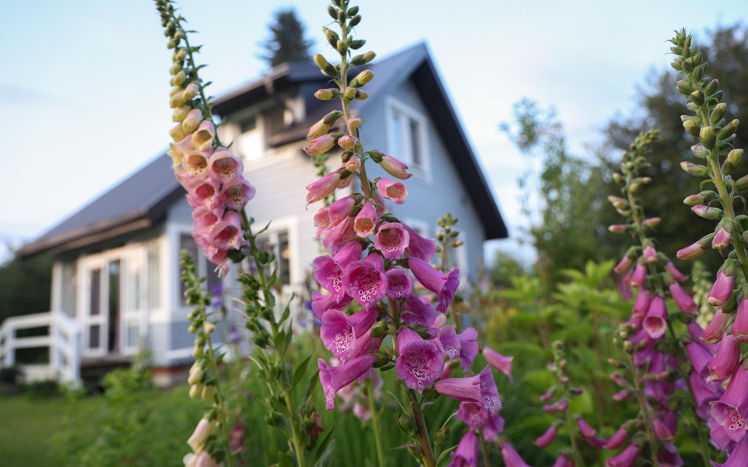 Фото: Андрей Титов / ТАСС