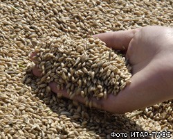 Д.Медведев поручил снизить тарифы на перевозку зерна в РФ