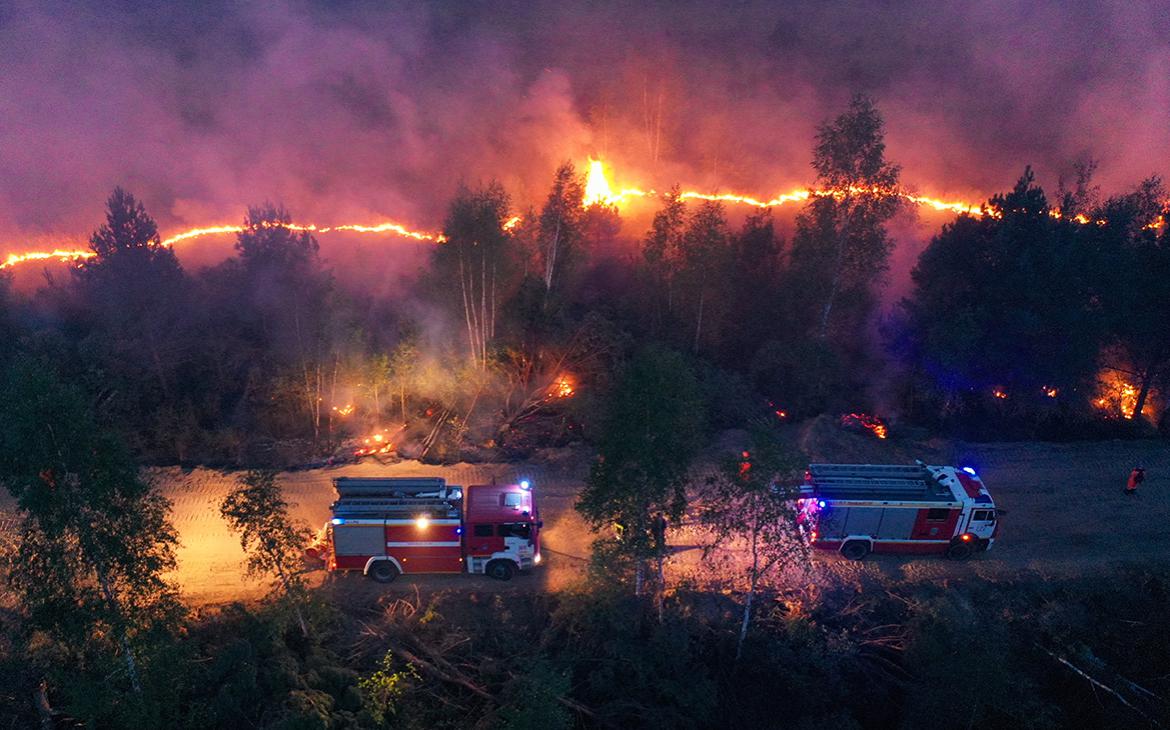 Из-за лесных пожаров в Рязанской области возбудили дело о халатности