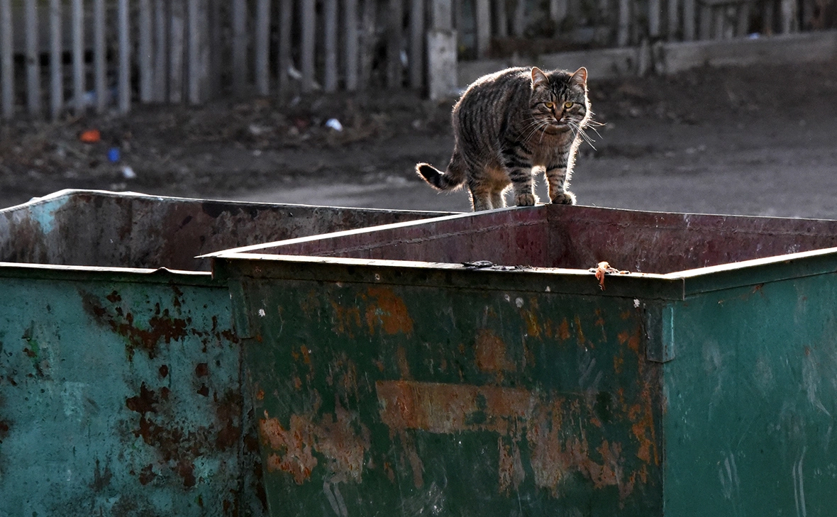 Максим Коротченко / ТАСС