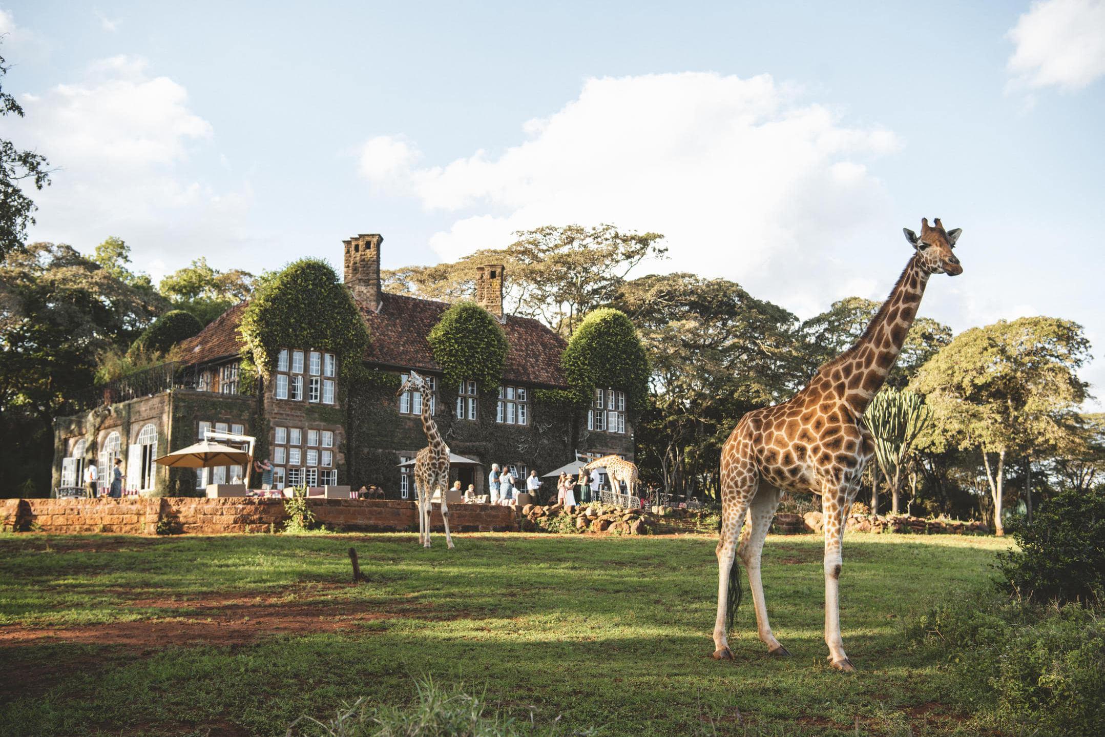 Отель Giraffe Manor