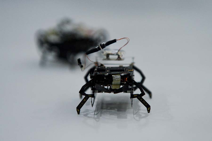 Компания анонсировала разработку миниатюрных роботов Swarm в диаметре всего 10&nbsp;мм. Они позволят анализировать части самолета, не разбирая их. Специальный робот в виде змеи будет запускать роботов-тараканов прямо внутрь двигателя, где они будут передвигаться и сканировать детали, передавая картинку &laquo;наверх&raquo;. Мини-роботы будут защищены от горячих температур специальным составом.
