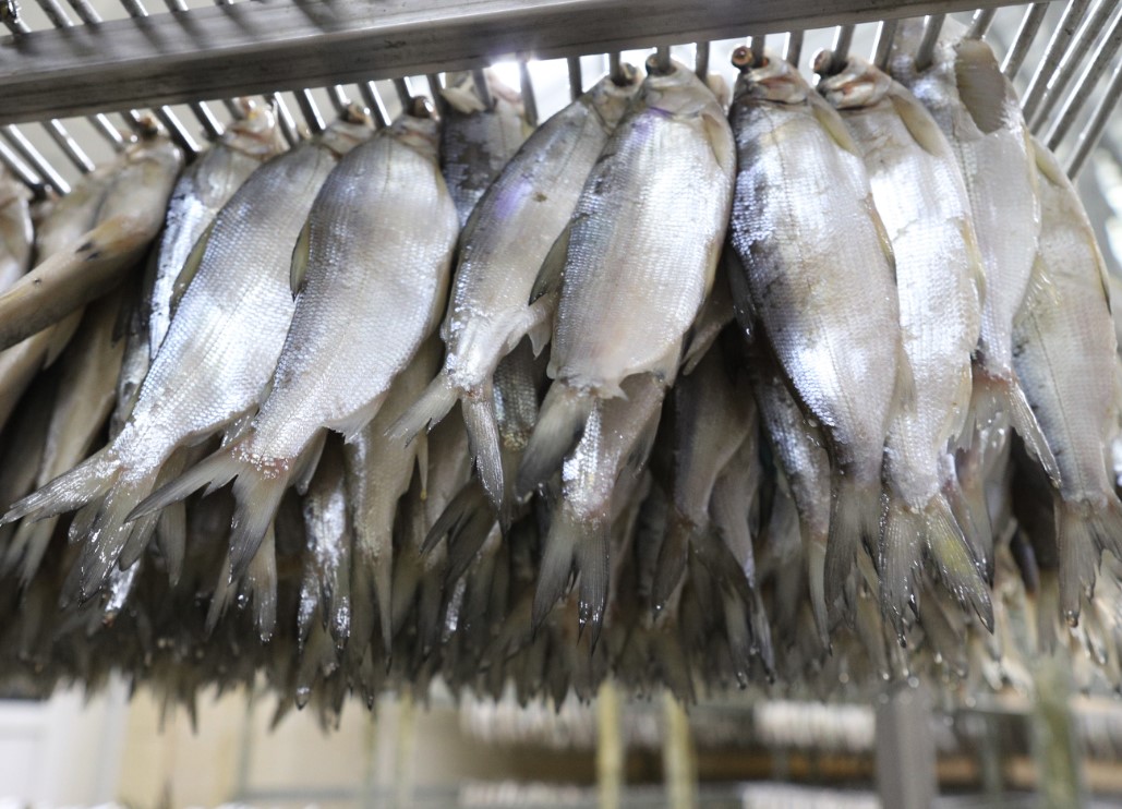 Предприятием по переработке рыбы в Бердюжском районе было введено&nbsp;в оборот 790 кг продукции неизвестного происхождения