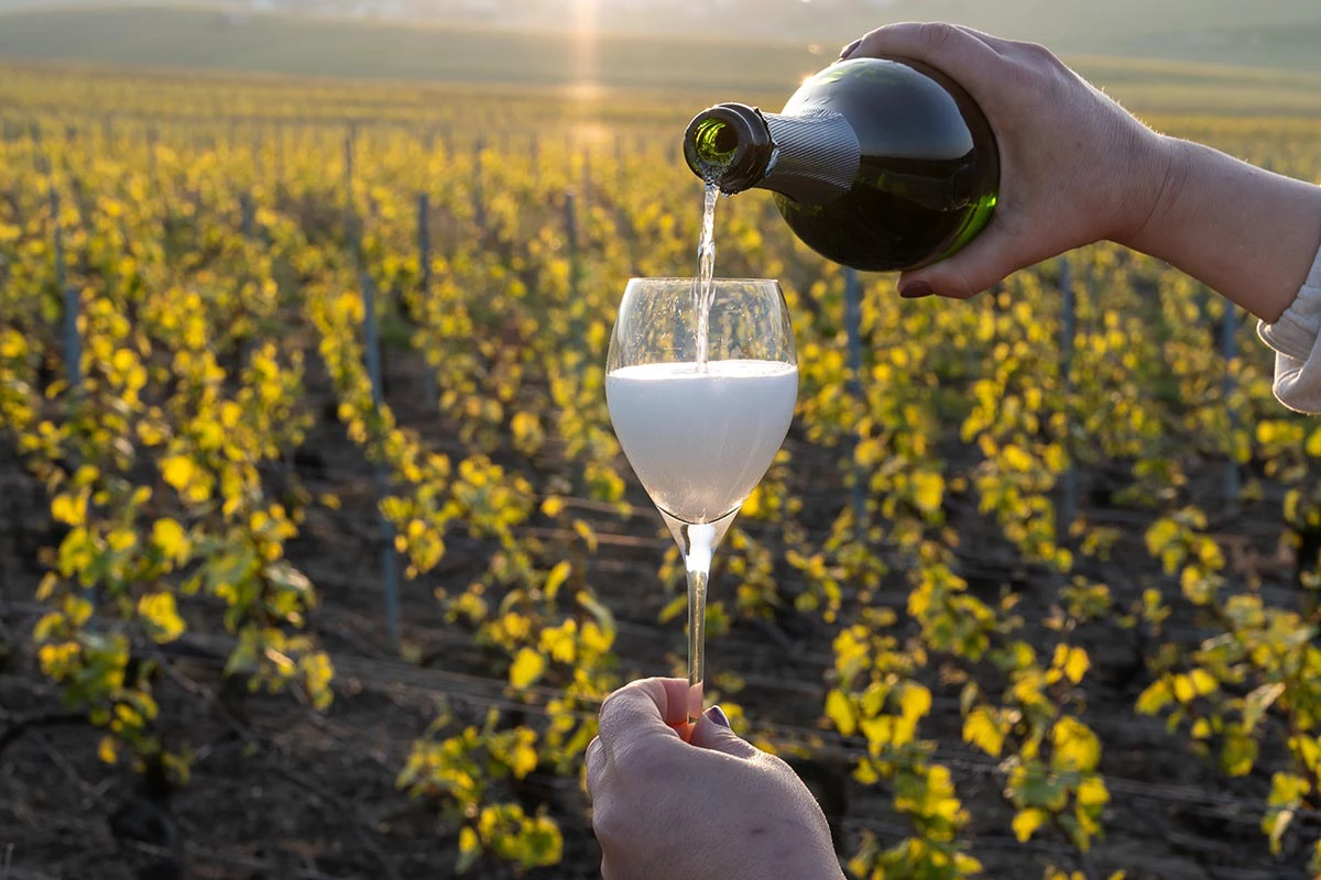 Есть ритуал, который он всегда соблюдает, — «встречать и поливать первый виноград, прибывающий на винодельню в начале сезона, бутылкой игристого вина»