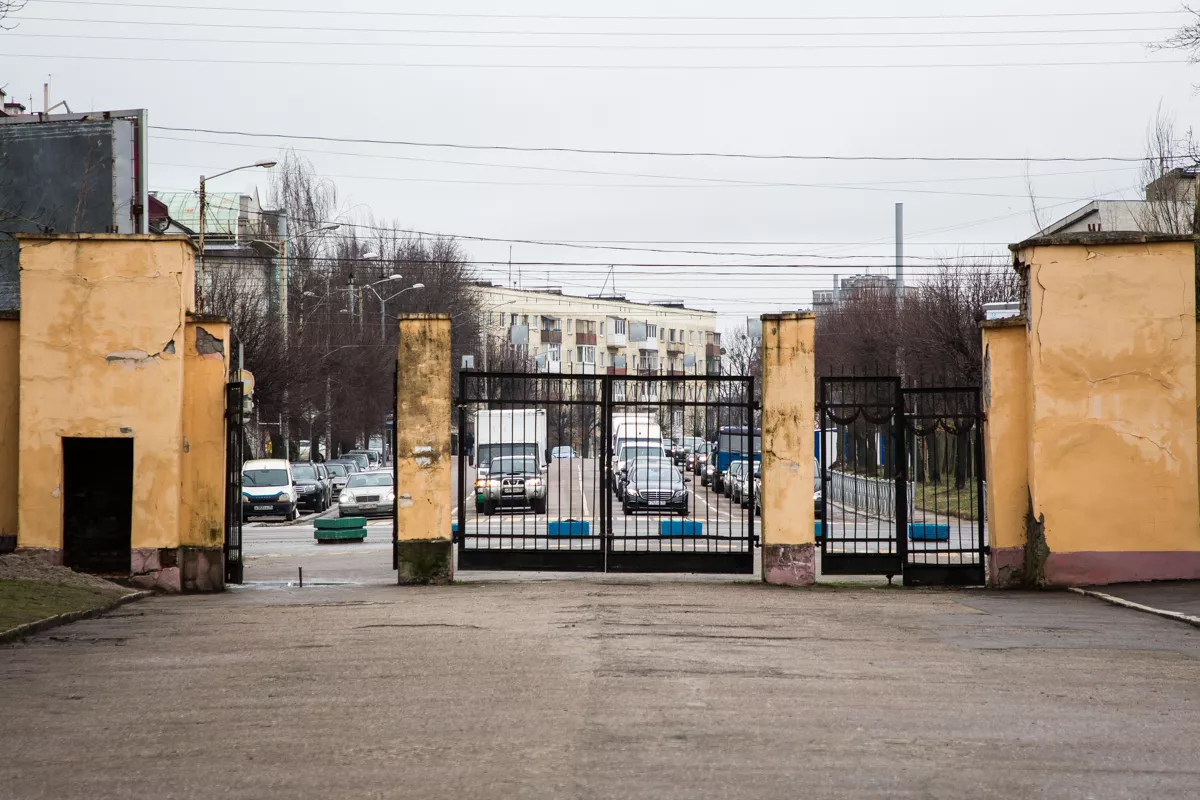 Александр Подгорчук