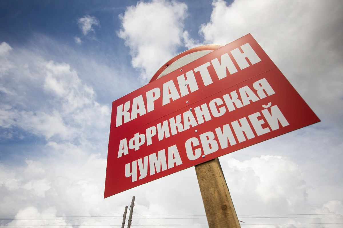 Александр Подгорчук