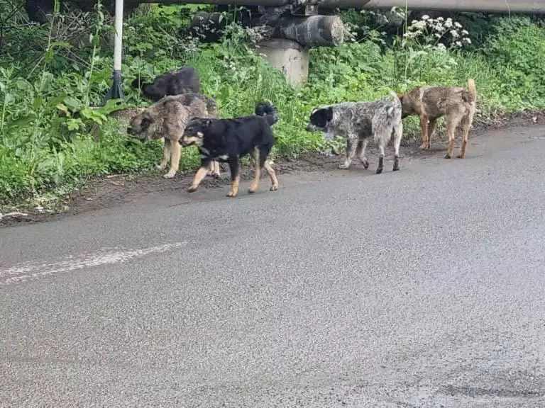 РБК Приморье