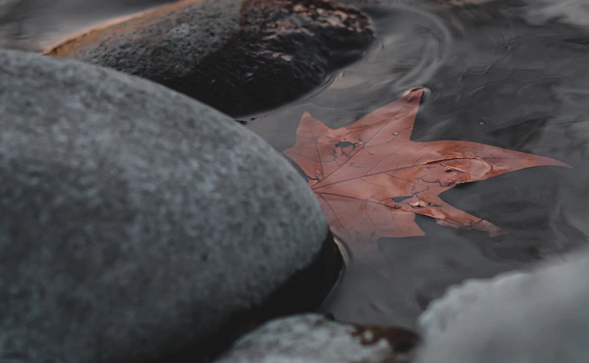 Wassim Chouak / Unsplash