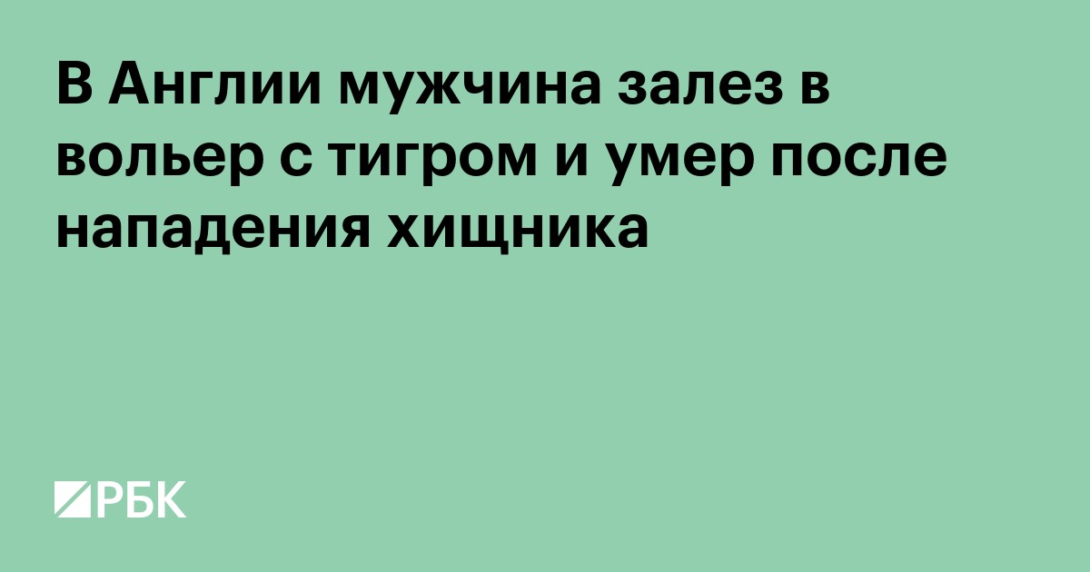 В Англии мужчина залез в вольер с тигром и умер после нападения хищника
