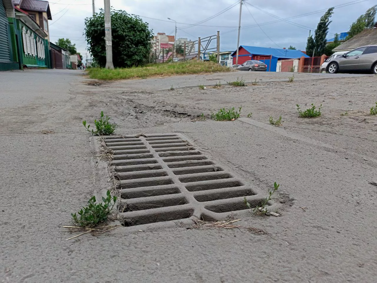 Алексей Коваленок / РБК Новосибирск