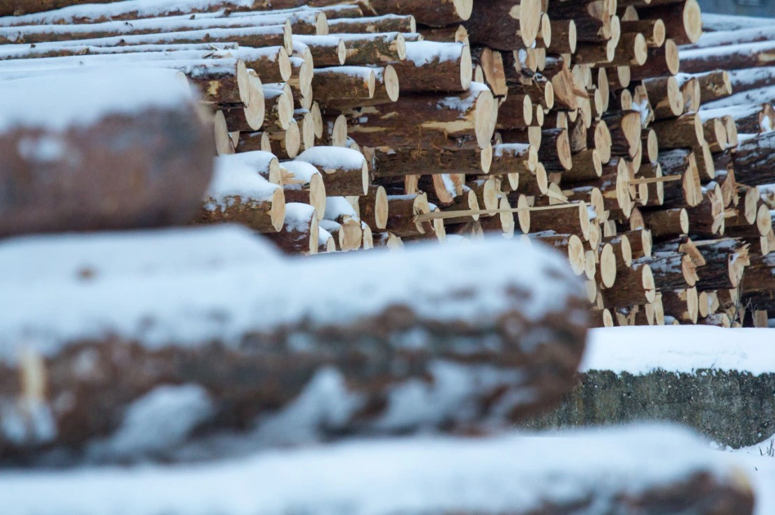 Илья Московец / URA.RU 