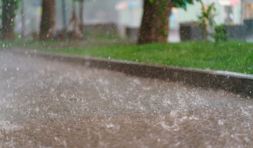 YuryKara / Shutterstock