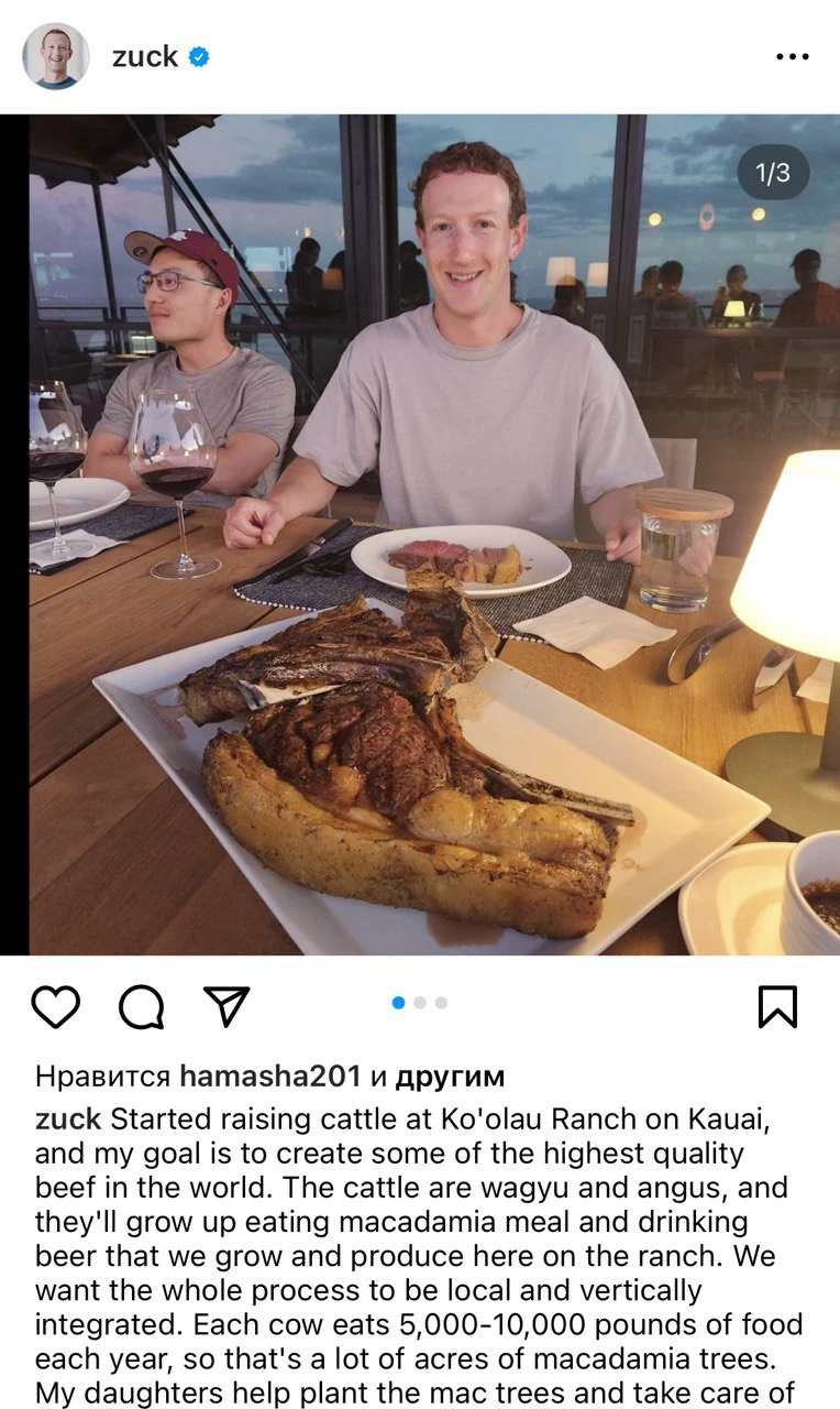 zuck / Instagram (входит в корпорацию Meta, признана экстремистской и запрещена в России)