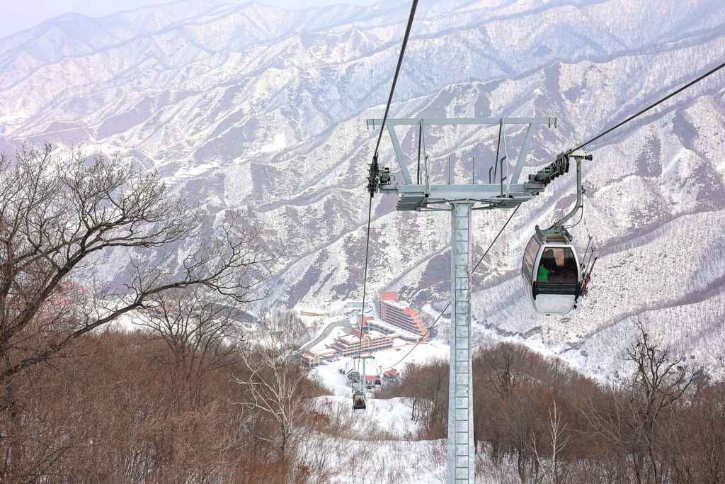 правительство Приморского края