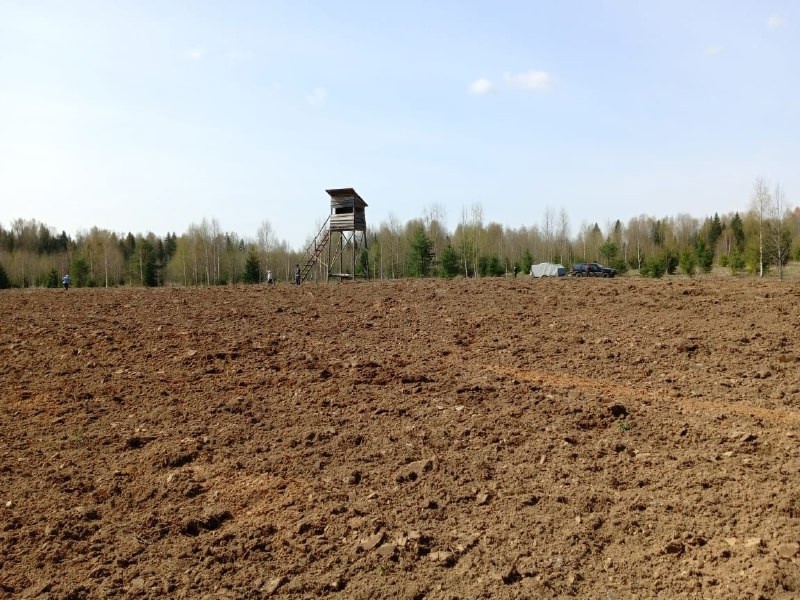 В вологодских охотничьих угодьях стартовали посевные работы