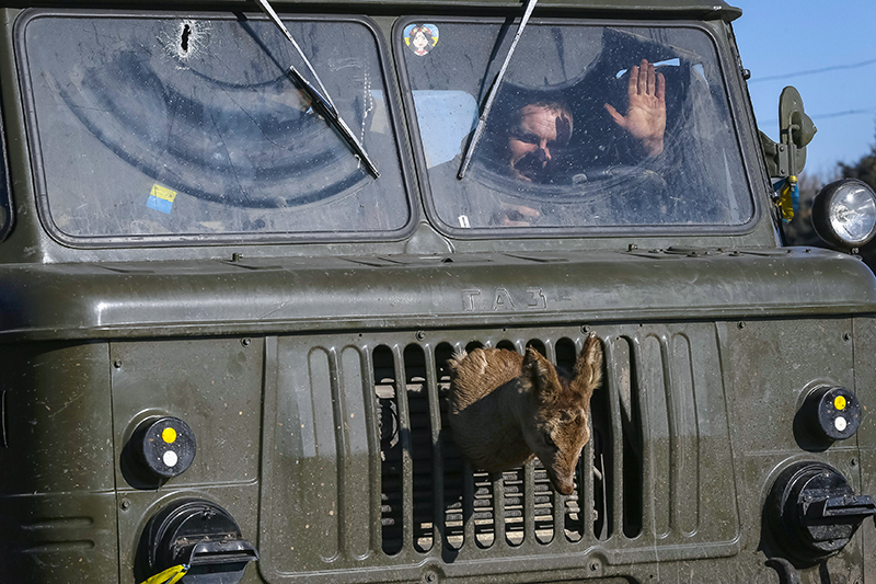 Украинский военнослужащий за рулем автомобиля покидает Дебальцево.

