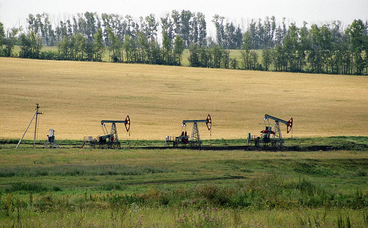 Замир Усманов / Global Look Press