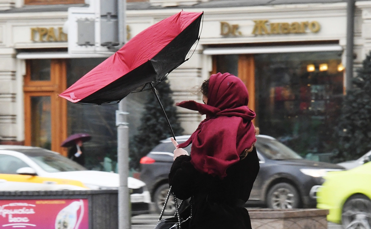 Кирилл Каллиников / РИА Новости