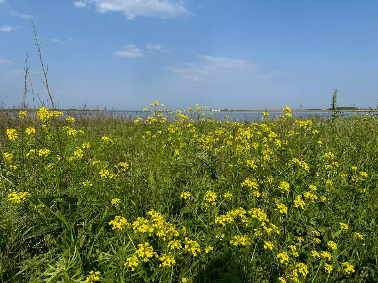 РБК Приморье