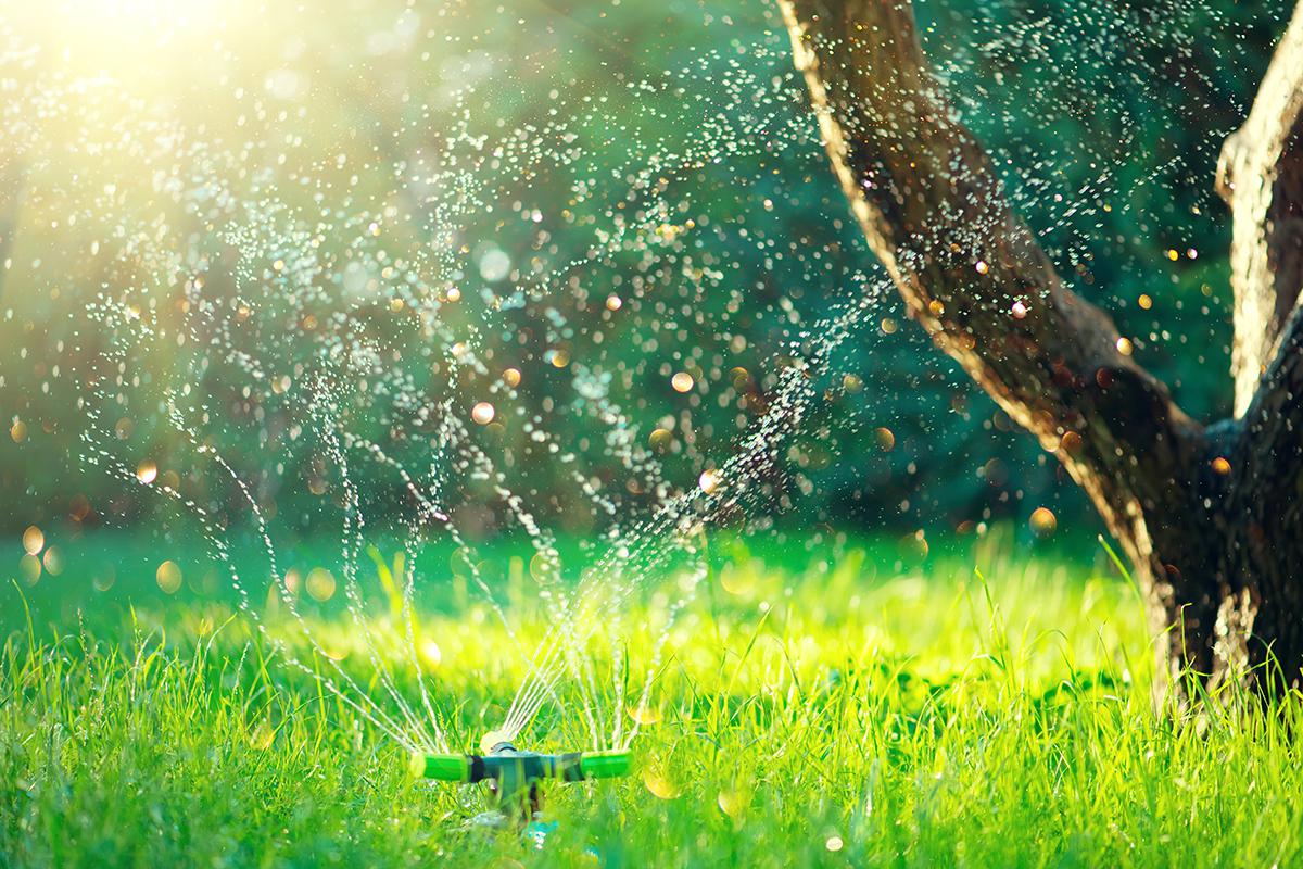 Фото: Subbotina Anna / Shutterstock / FOTODOM