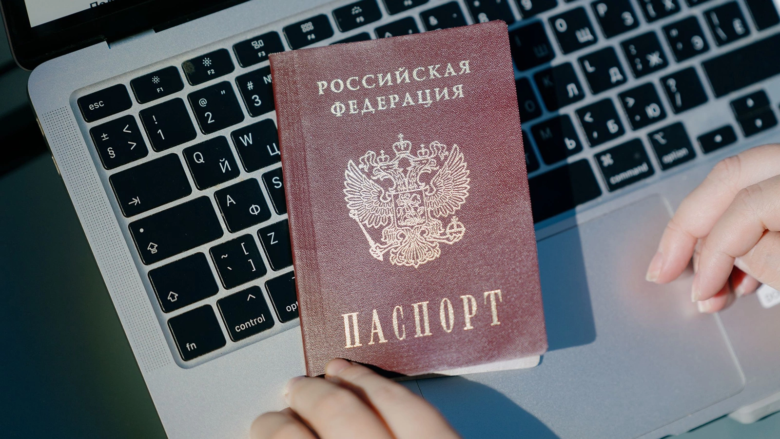 В России начался второй этап внедрения цифровых паспортов