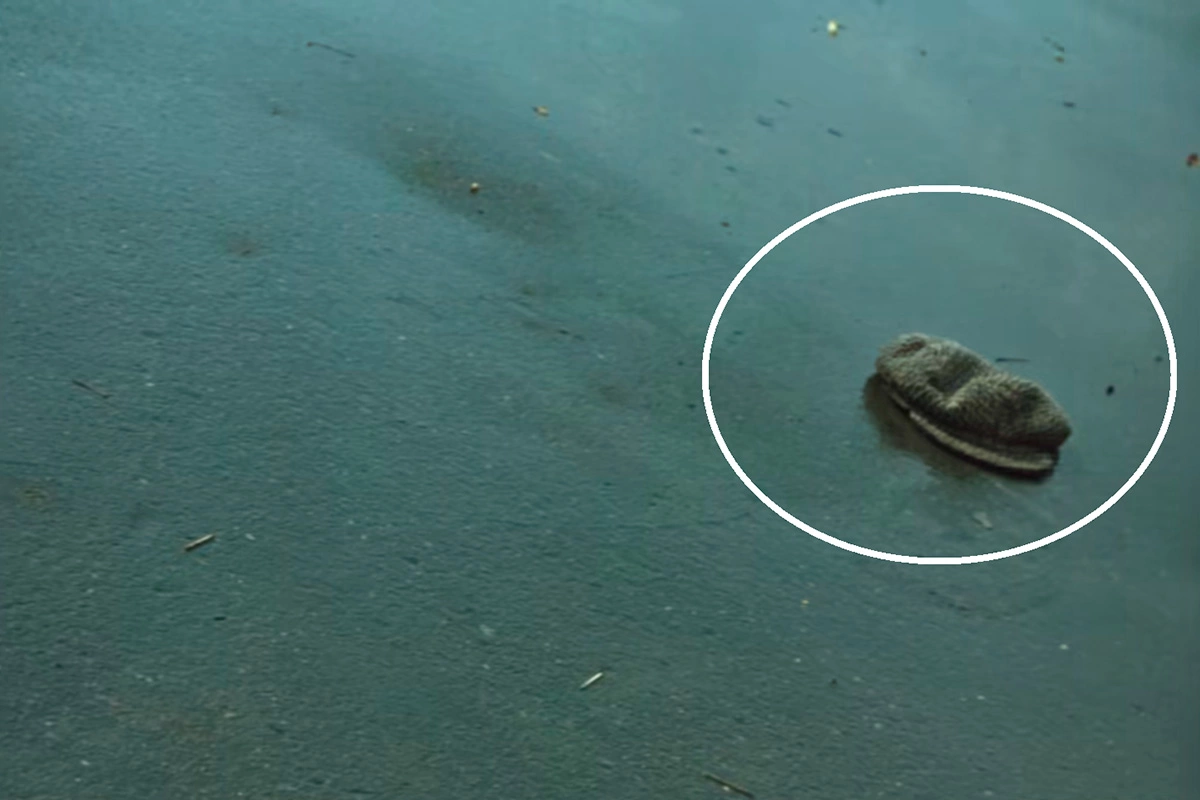 Кадр из фильма «Операция «Ы» и другие приключения Шурика»