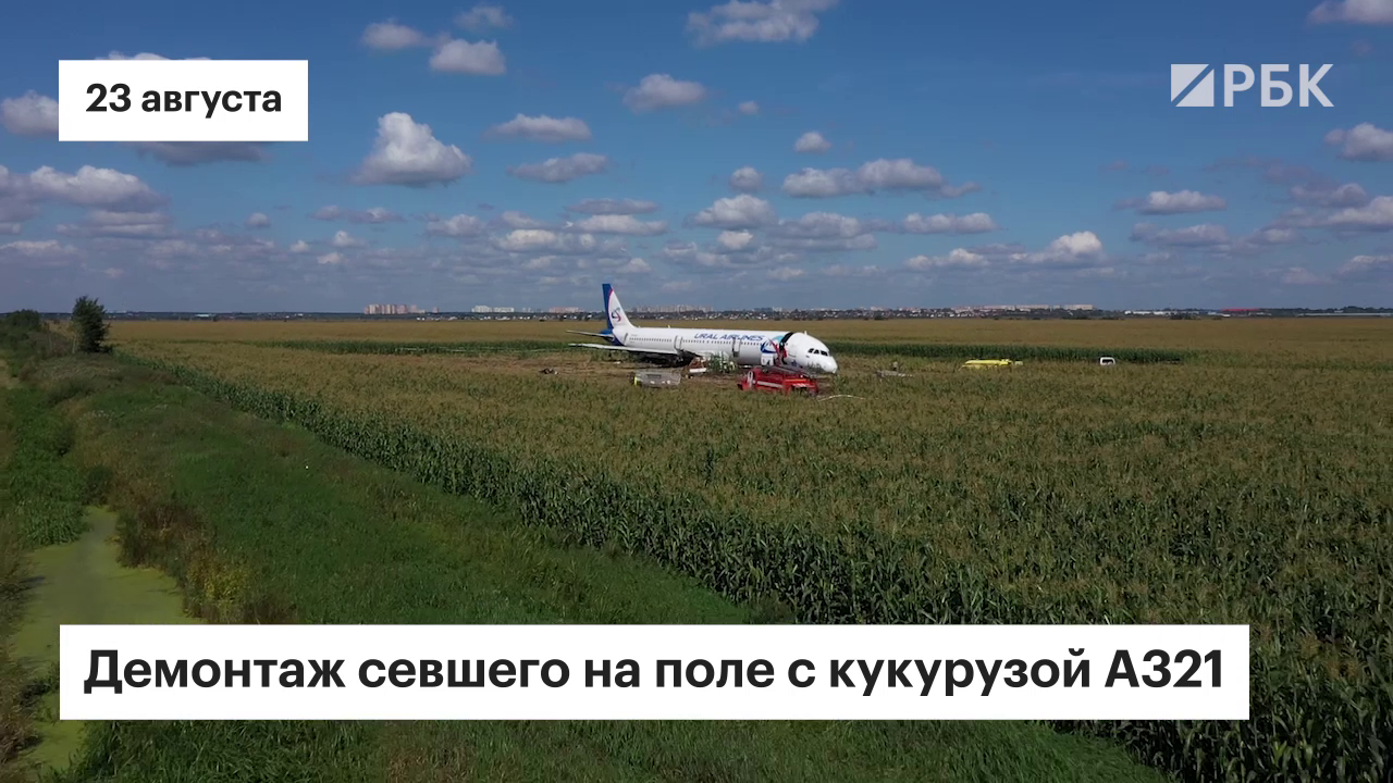 Севший в поле A321 начали разрезать на части