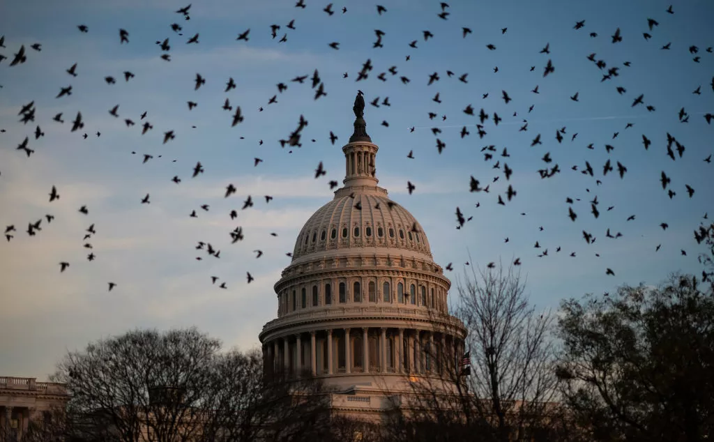 Drew Angerer / Getty Images