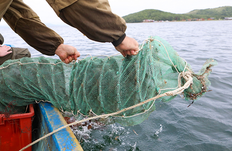 Правительство Приморского каря