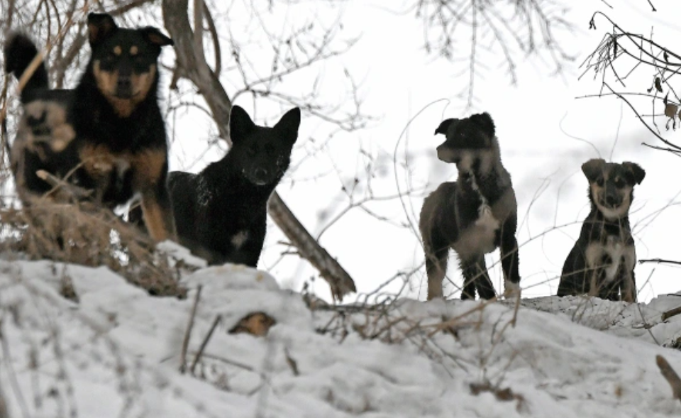 Илья Наймушин / РИА Новости 