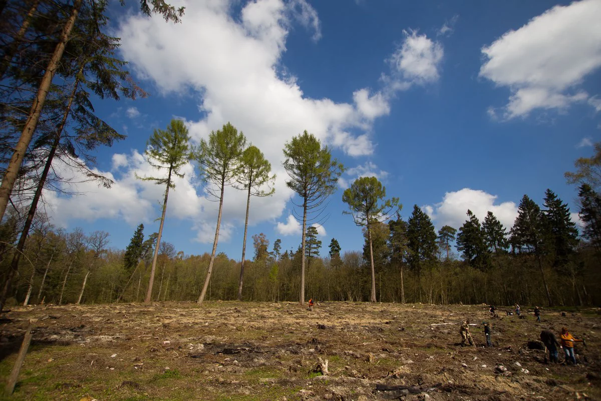 Александр Подгорчук