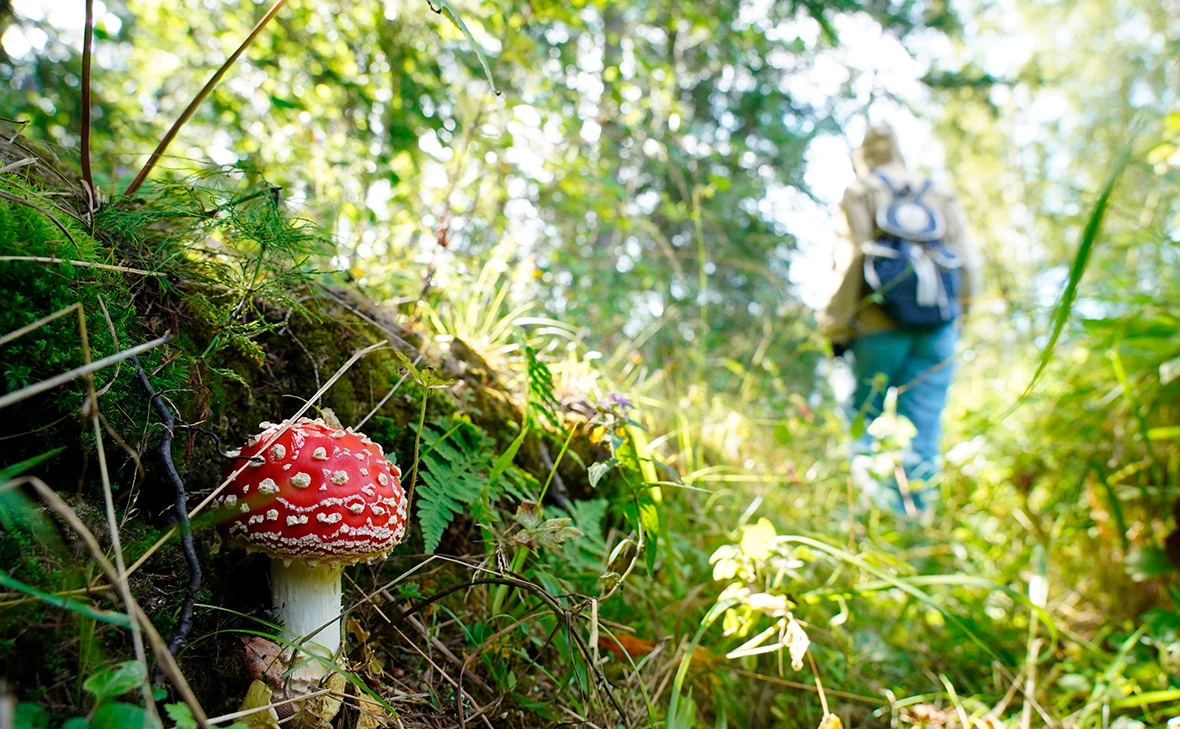 Авилов Александр / Агентство «Москва»