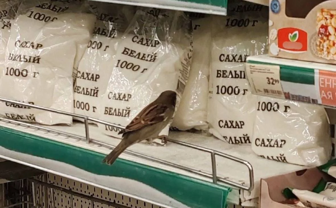 РБК Черноземье