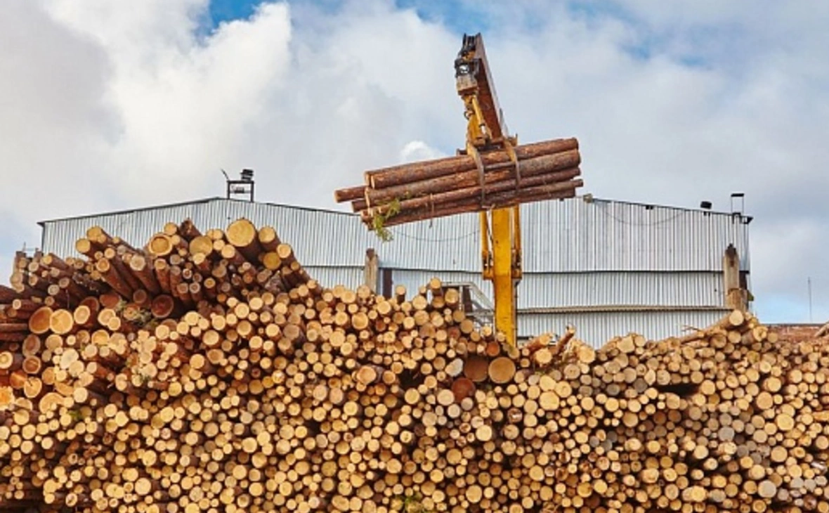 сайт Segezha Group