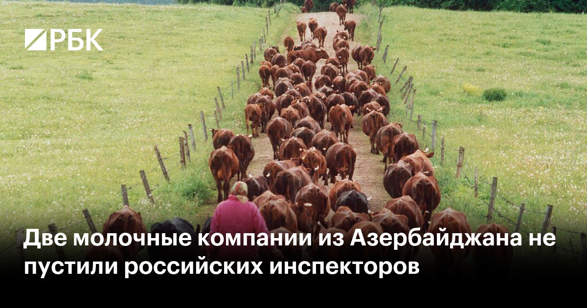 www.rbc.ru