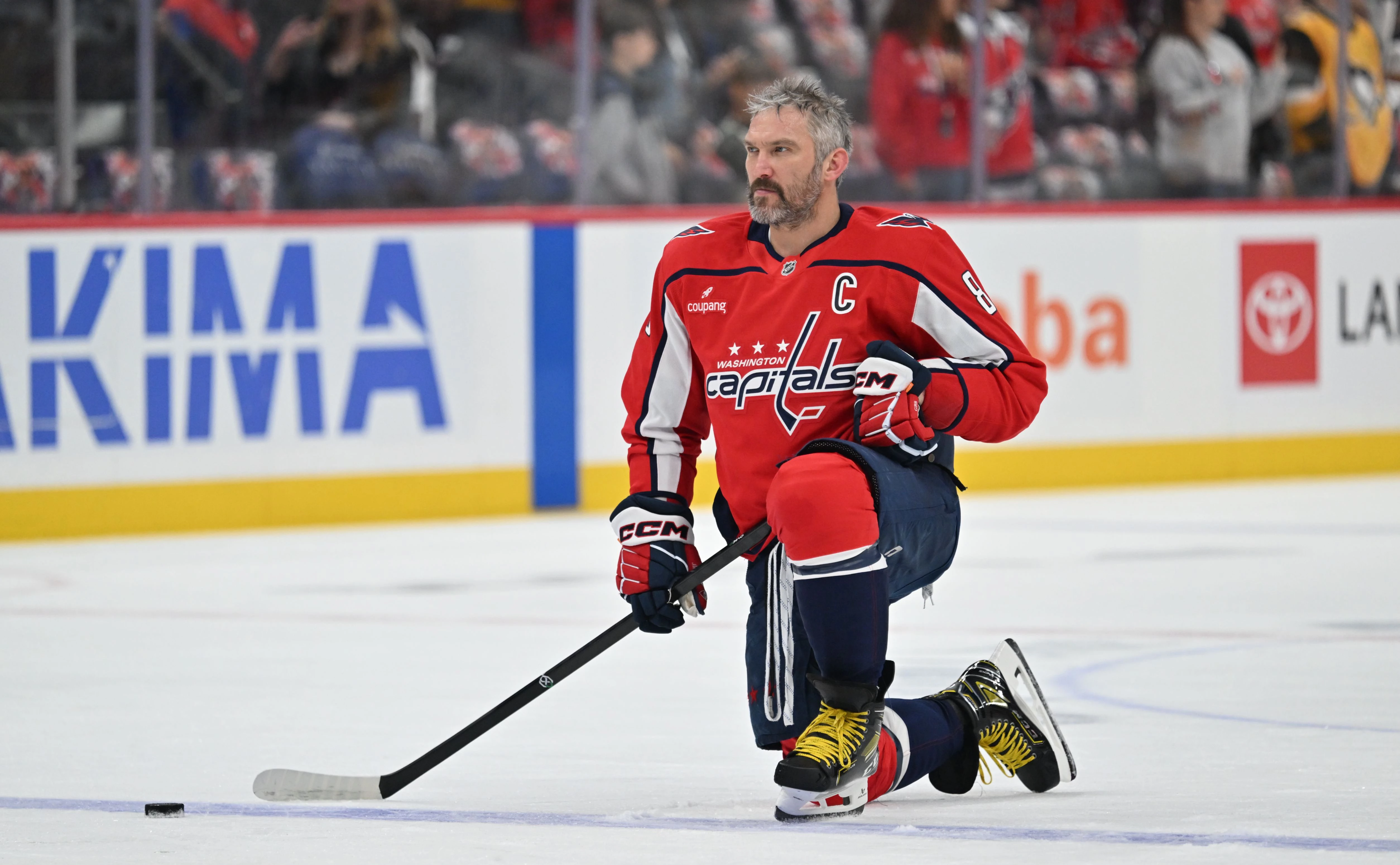 Jamie Sabau / Getty Images
