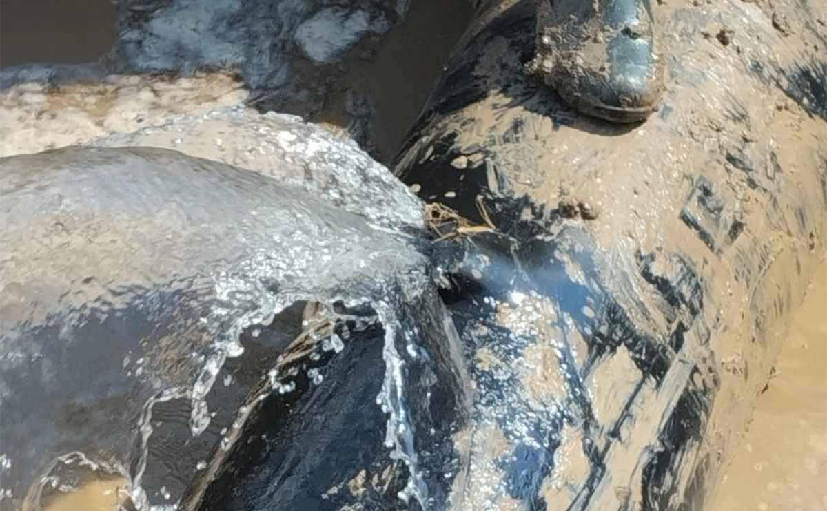 glavazernograd / Telegram