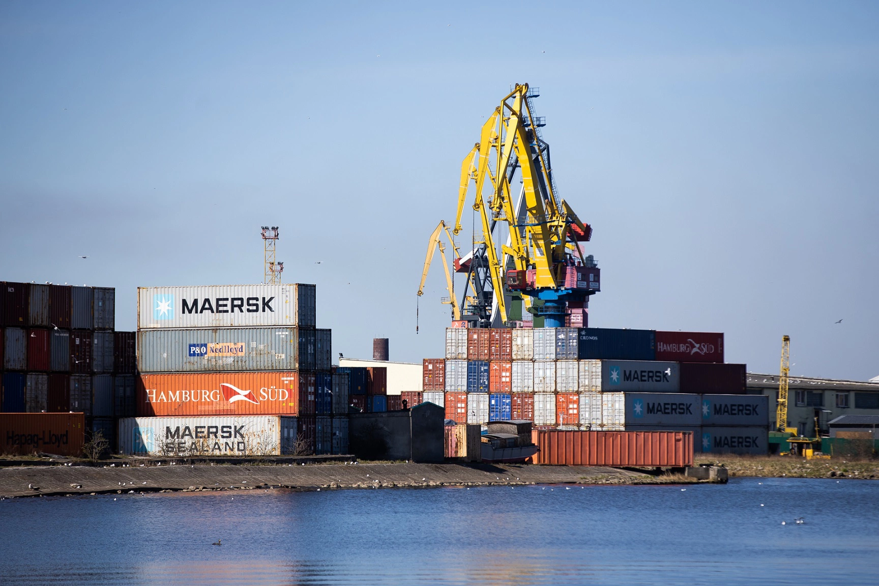 Александр Подгорчук