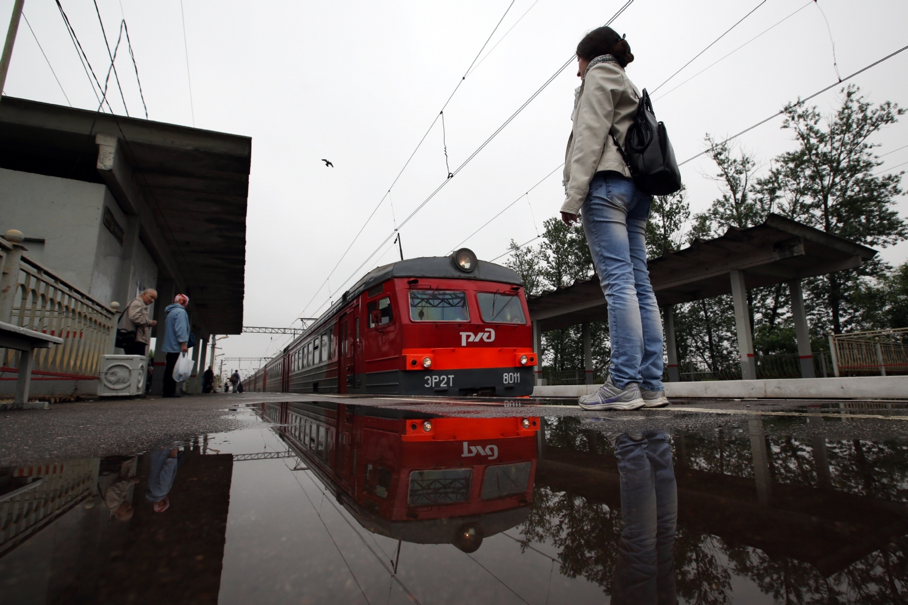 Под Петербургом приступают к реализации транспортного мегапроекта — РБК