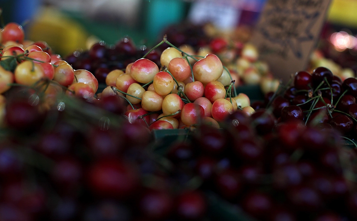 Justin Sullivan / Getty Images