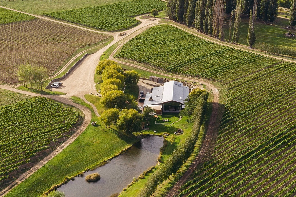 Винодельня Cloudy Bay