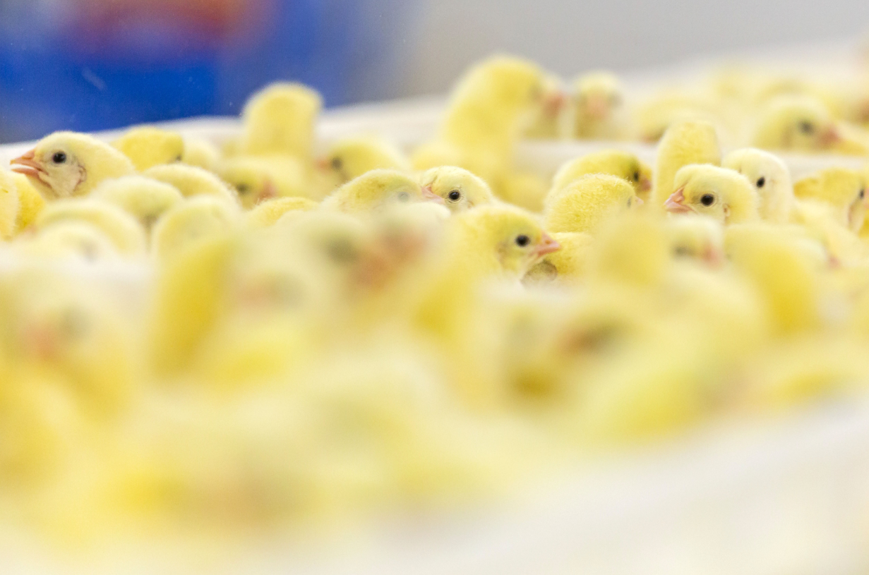 Фото: Илья Московец / URA.RU