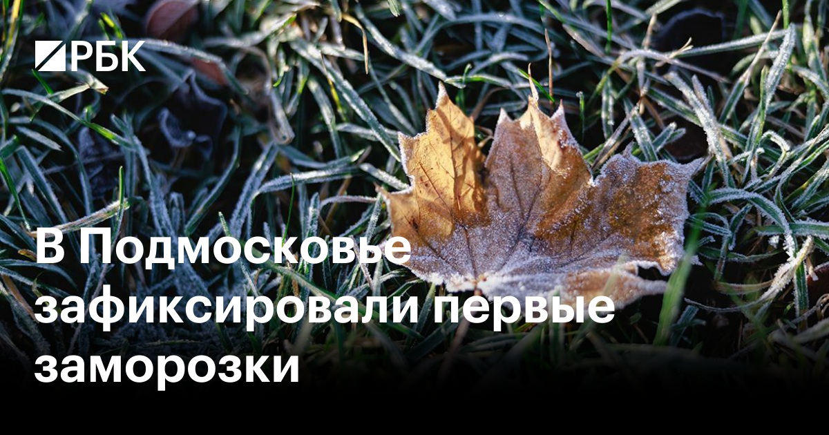 В Подмосковье зафиксировали первые заморозки