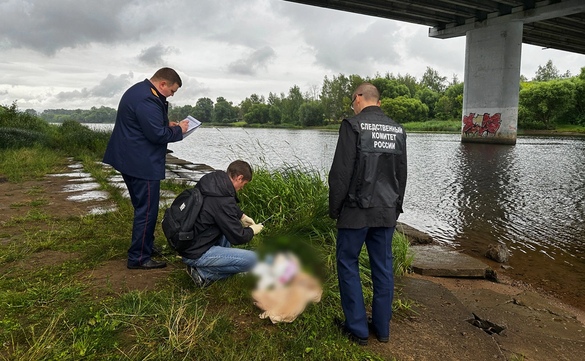 СК России по Ярославской области