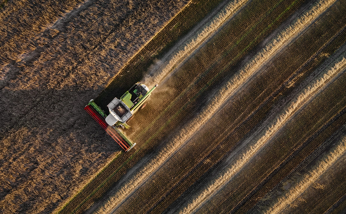 Ed Ram / Getty Images