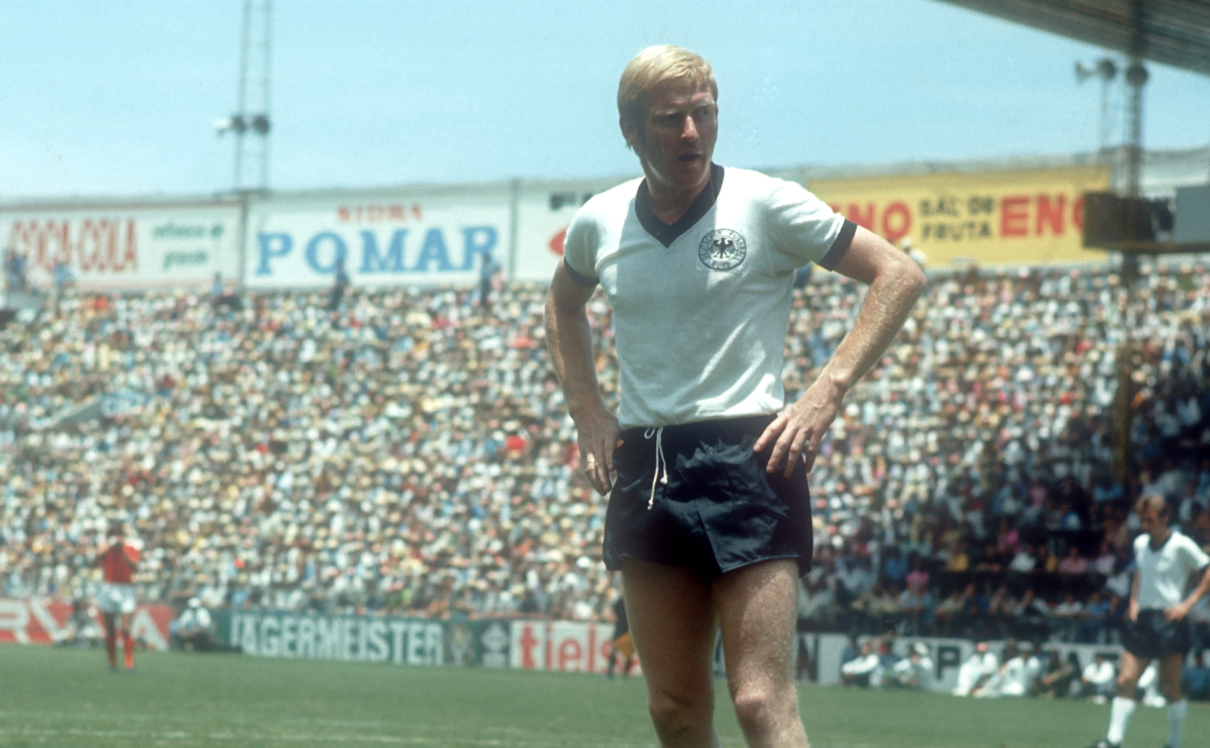 Werek / Global Look Press