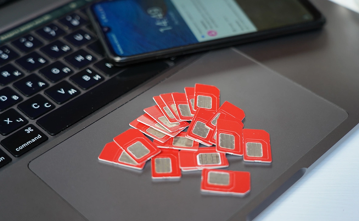 ShapikMedia / Shutterstock