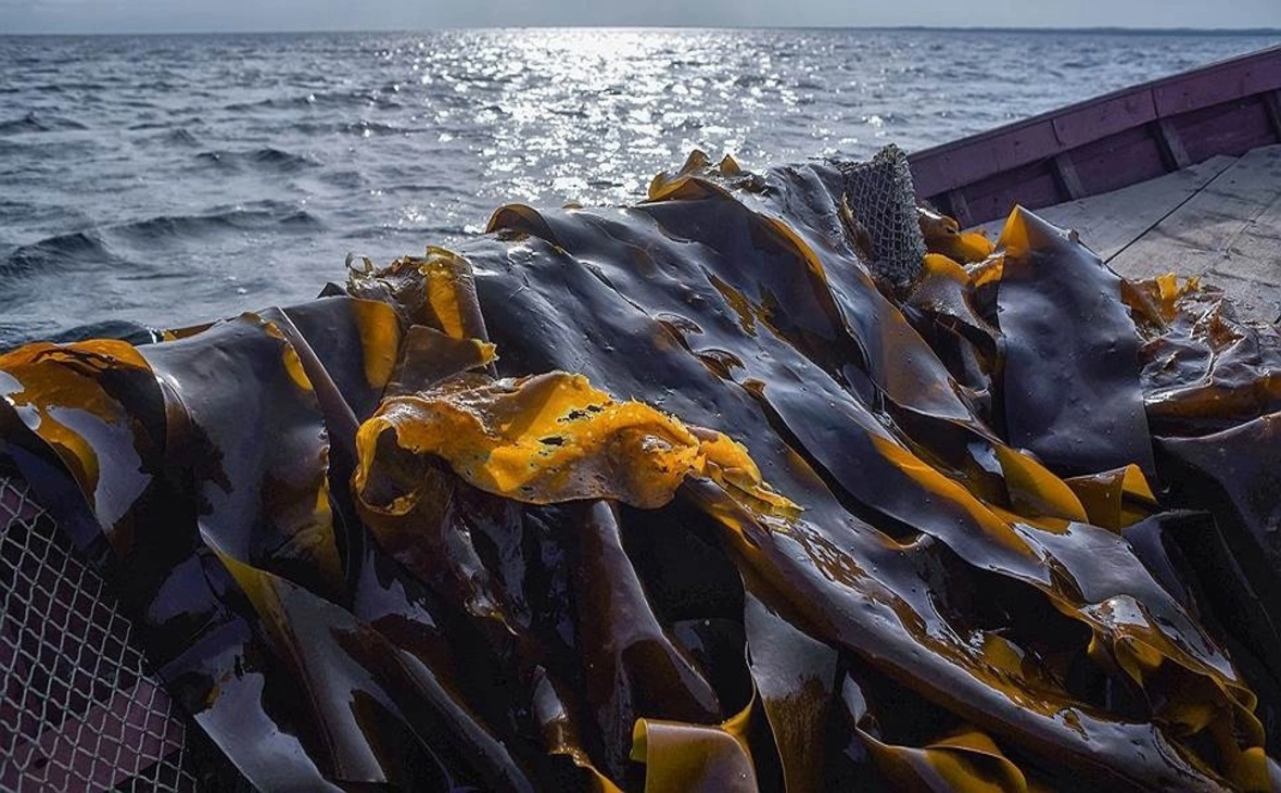 министерство сельского и рыбного хозяйства Республики Карелия